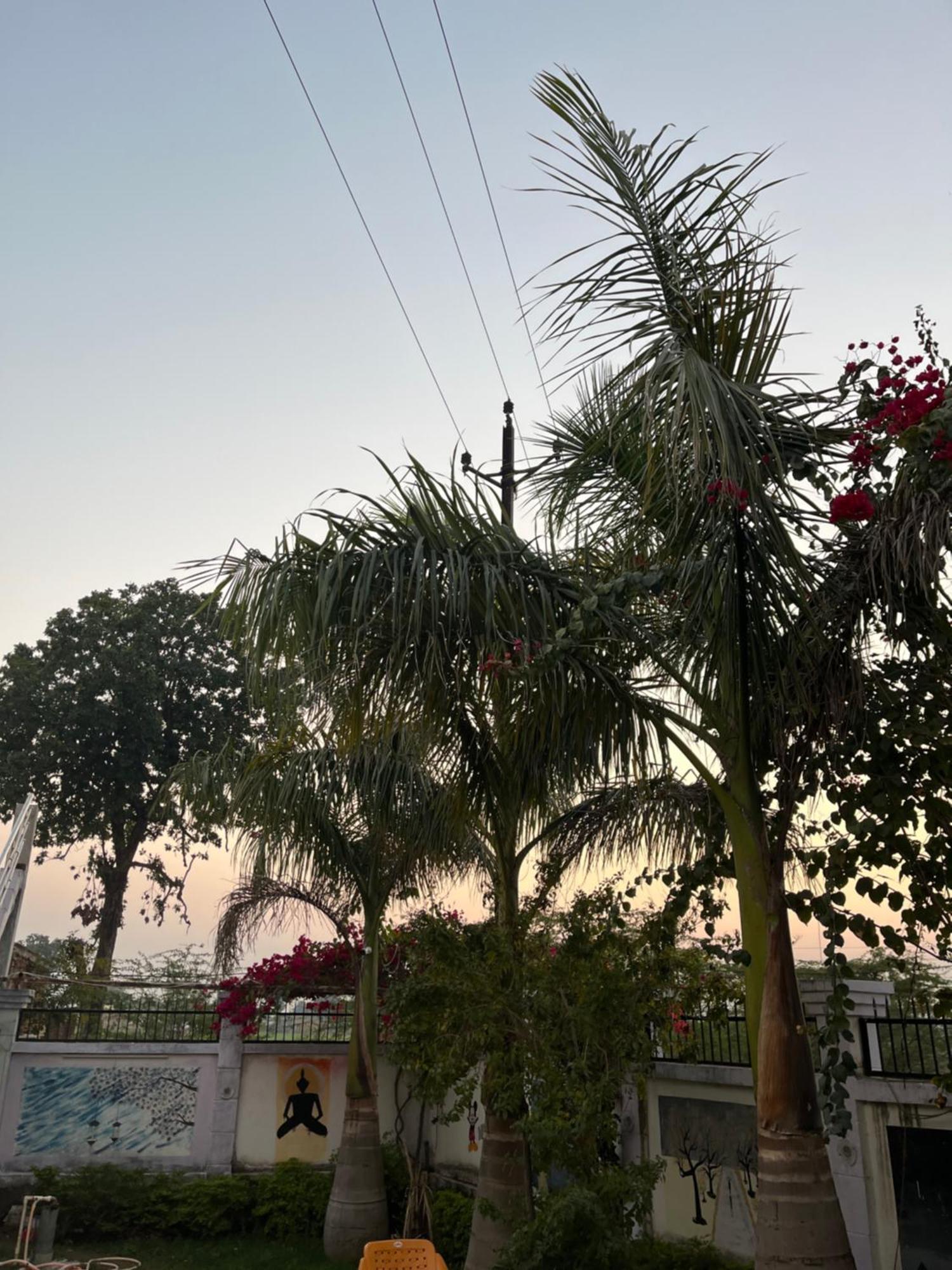 Sunrise Bed & Breakfast Khajurāho Exterior foto